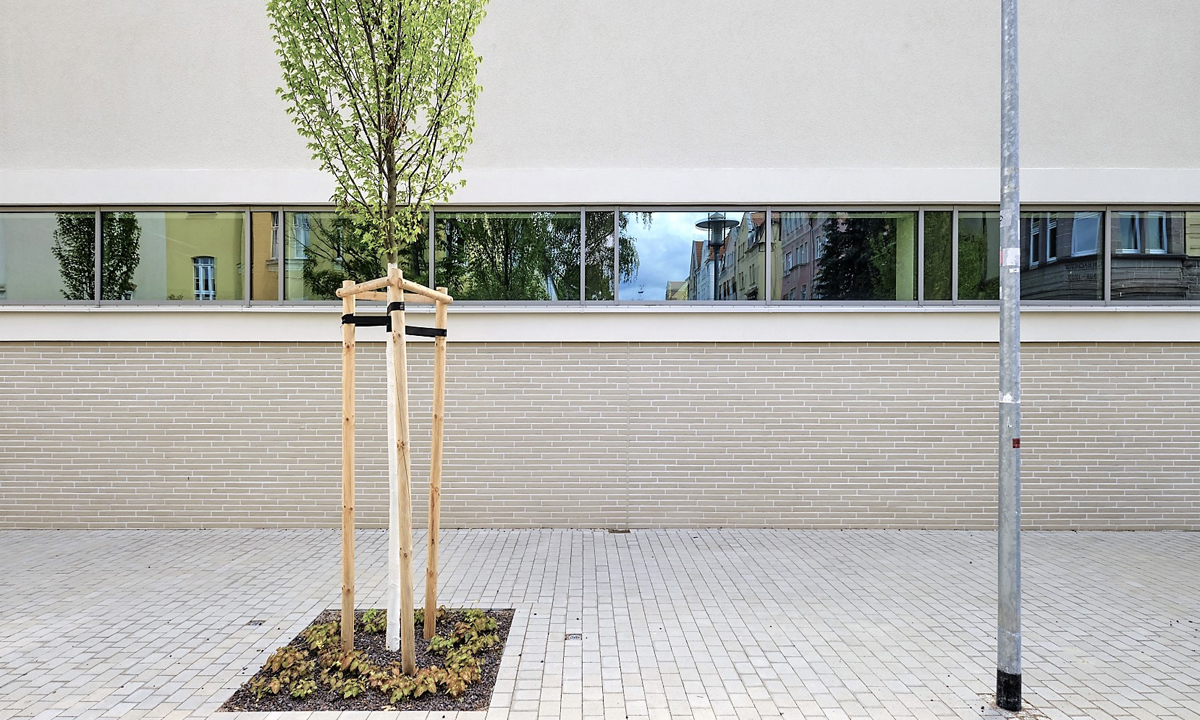 Copyright Michael Miltzow 2021 8866.jpg